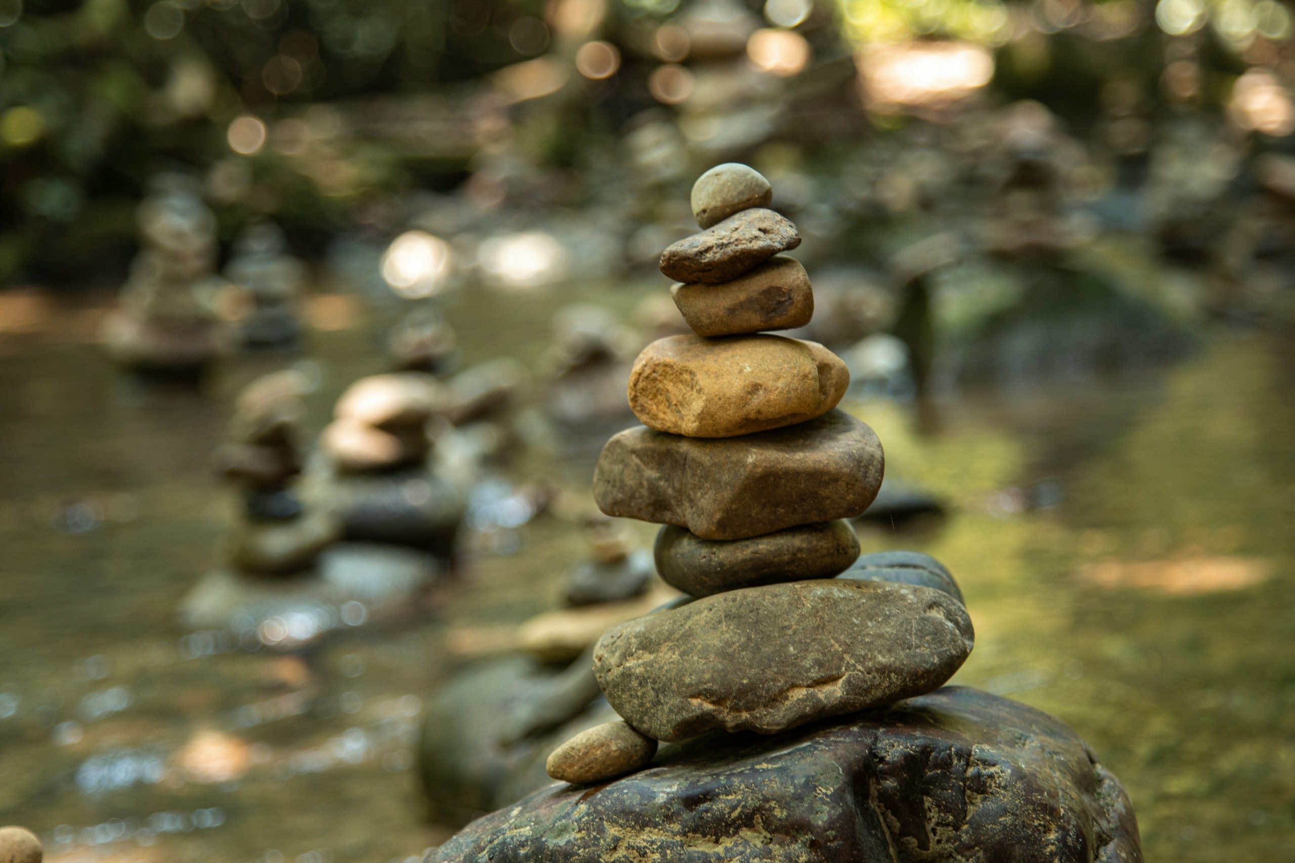 milada-vigerova-lhCqSKlsKFU-unsplash